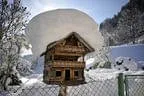 KAM-001604-Vogelhaus-mit-Schneehaube-Fotograf-Hannes-Dabernig
